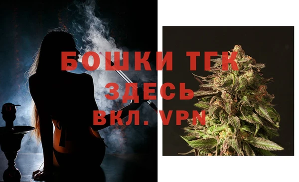 СК Верхний Тагил