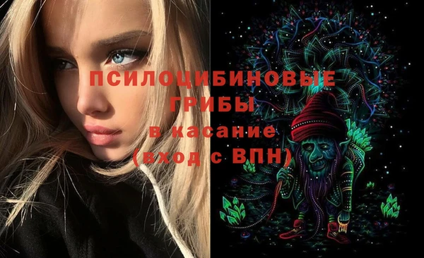 СК Верхний Тагил